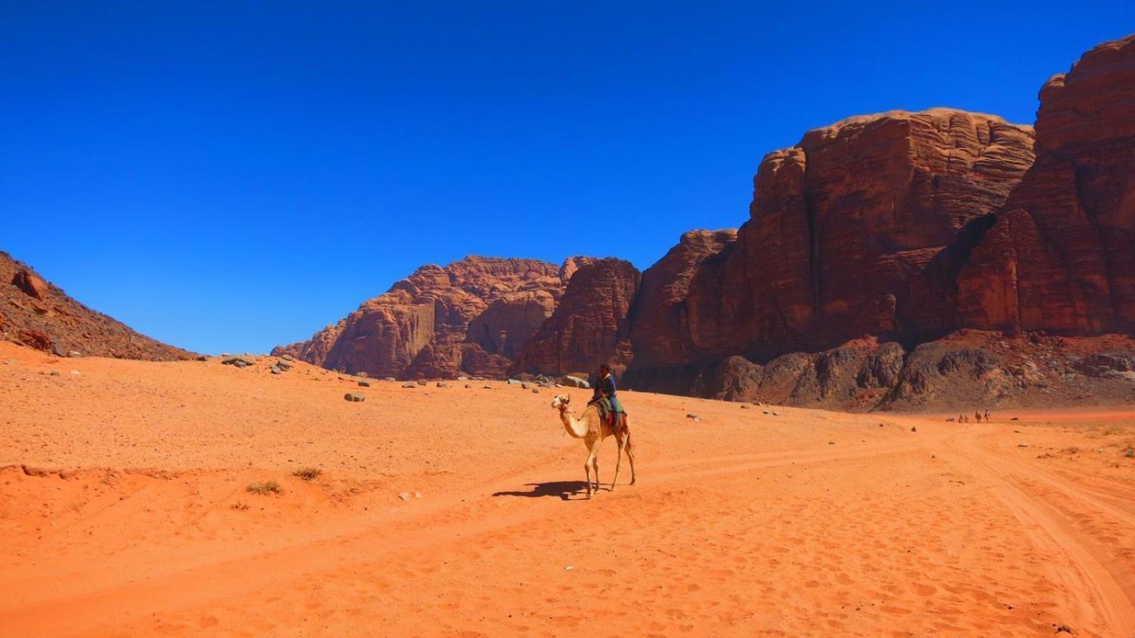 Wadi Rum Magic Nature Camp Εξωτερικό φωτογραφία