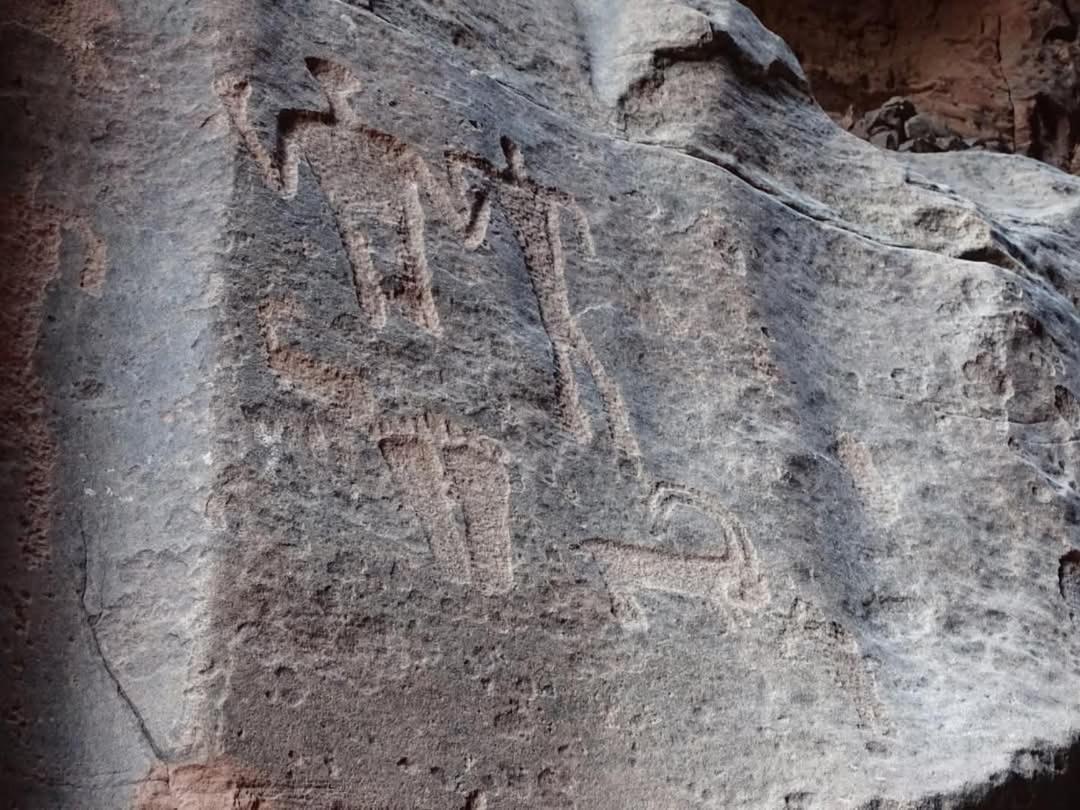 Wadi Rum Magic Nature Camp Εξωτερικό φωτογραφία