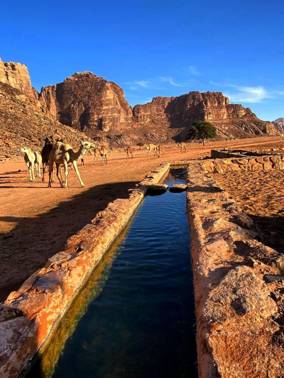 Wadi Rum Magic Nature Camp Εξωτερικό φωτογραφία